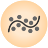 Polynomial Regression